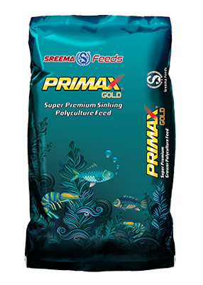PRIMAX GOLD A2404
