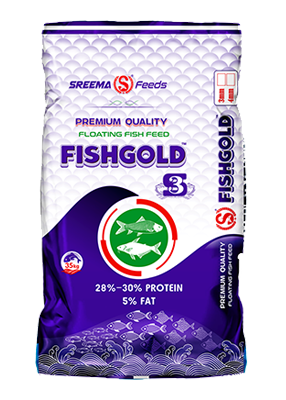 FISH GOLD S3
