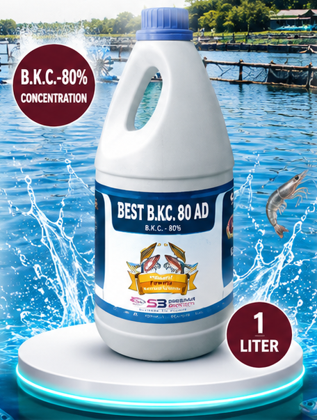 best bkc