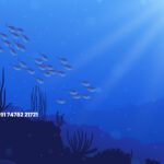 মৎস্য চাষে প্রধান চ্যালেঞ্জ