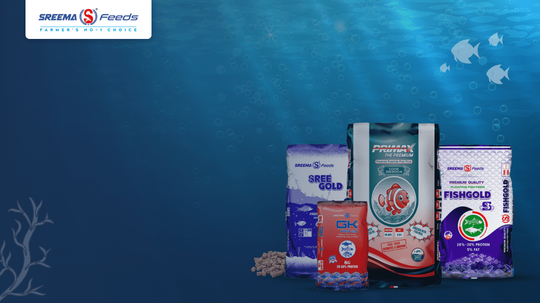 Floating vs Sinking Fish Feed: Which Is Better for Fish Growth?