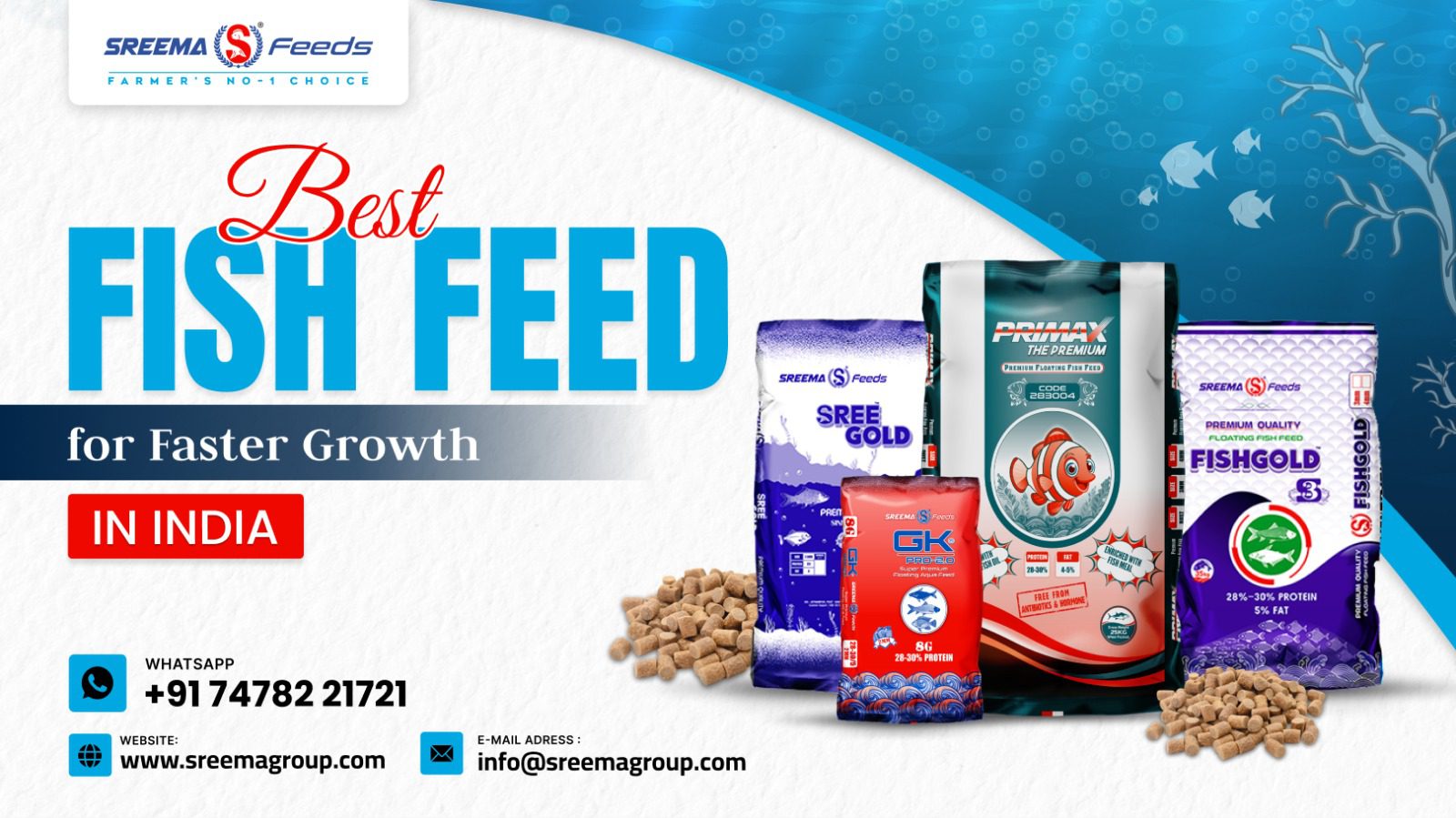 Best Fish Feed for Faster Growth in India