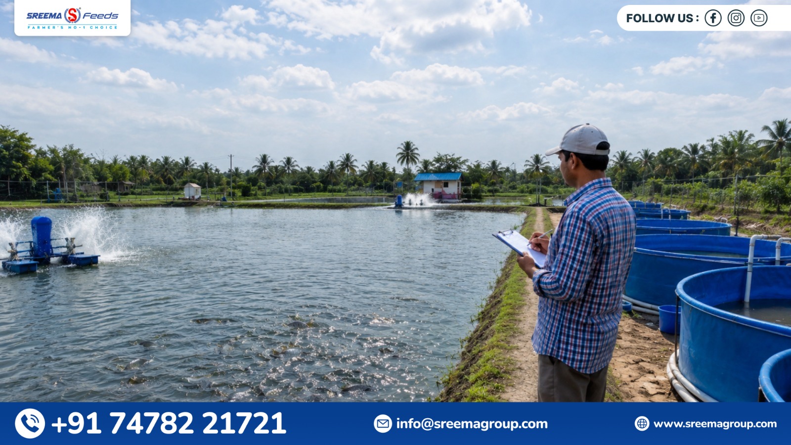 Why Fish Diseases in Aquaculture Are More Common than in the Wild
