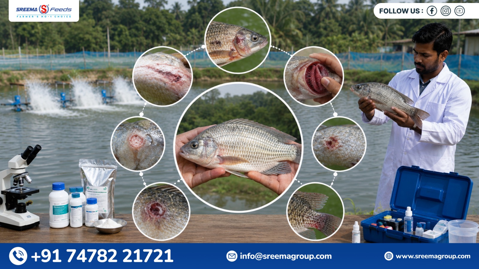 What Is Biofloc Fish Farming and Why Is It Different From a Pond?
