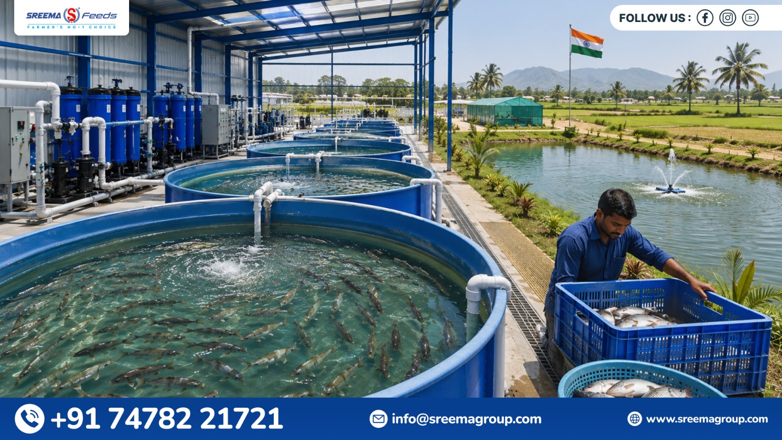 Why Fish Pond Water Quality Decides Your Farm’s Profit